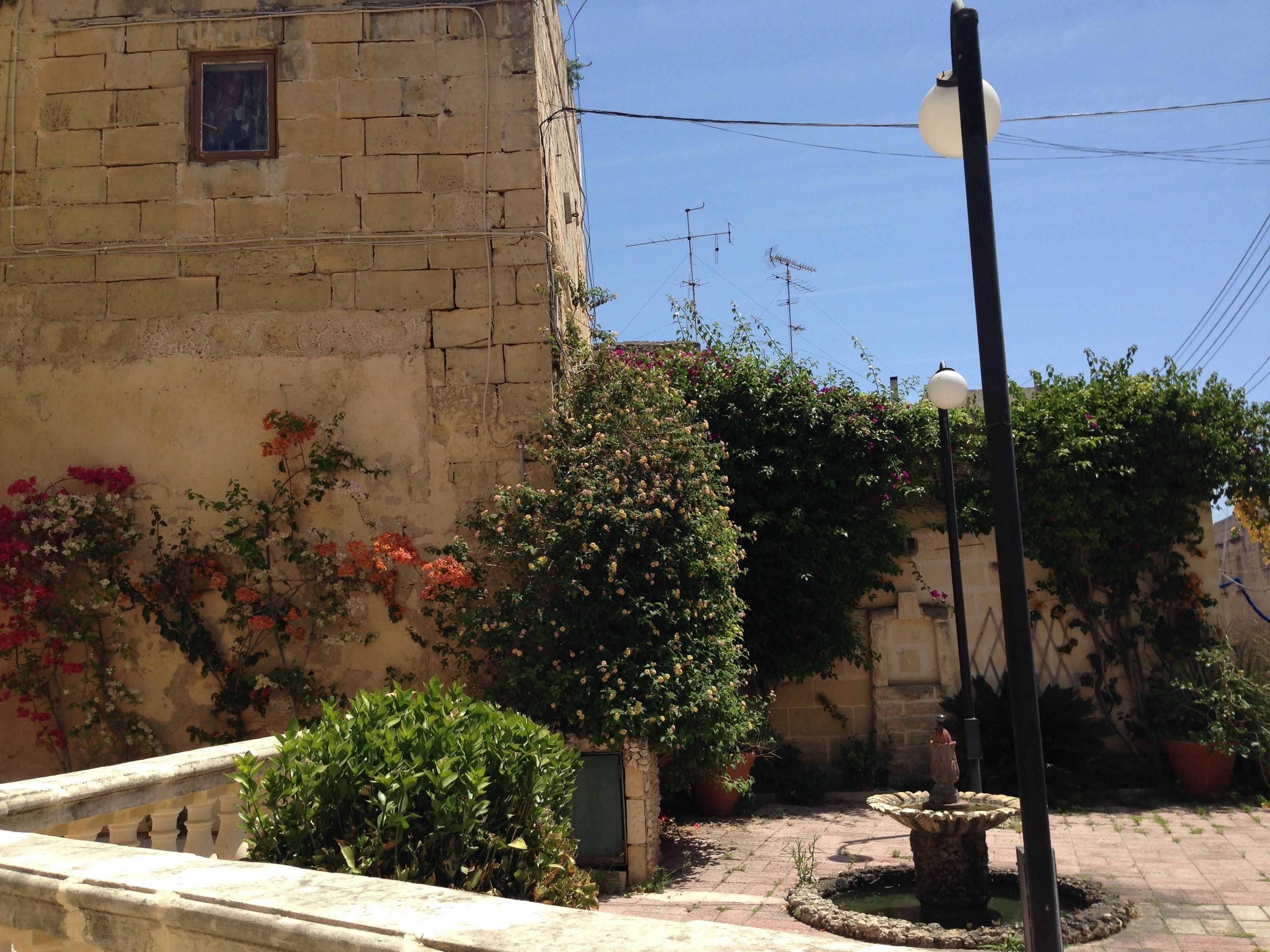 Photo - The Burrow Guest House