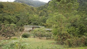 Uma casa rodeada por vegetação exuberante e uma paisagem ondulante.