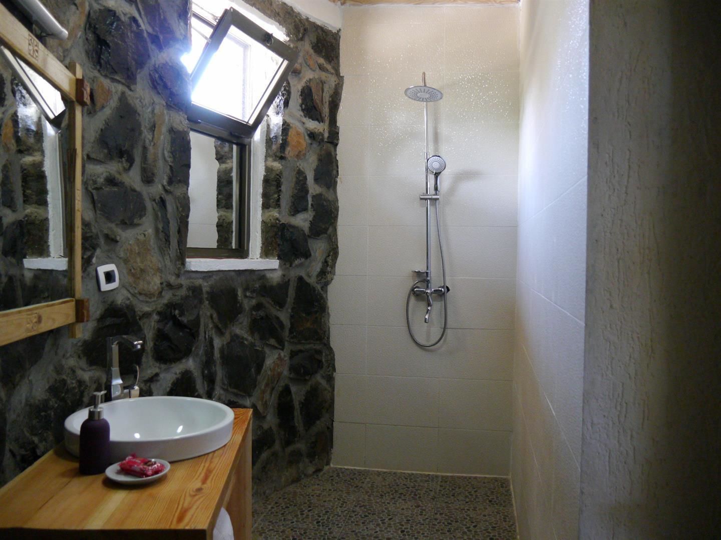 Une salle de bain avec un mur en pierre, un meuble-lavabo en bois avec un évier, un miroir et une douche équipée d’un pommeau de douche à main.