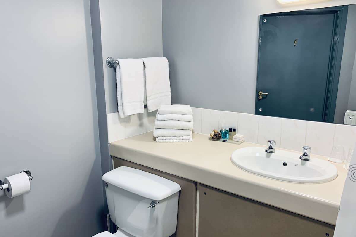 triple room (disabled access) | bathroom