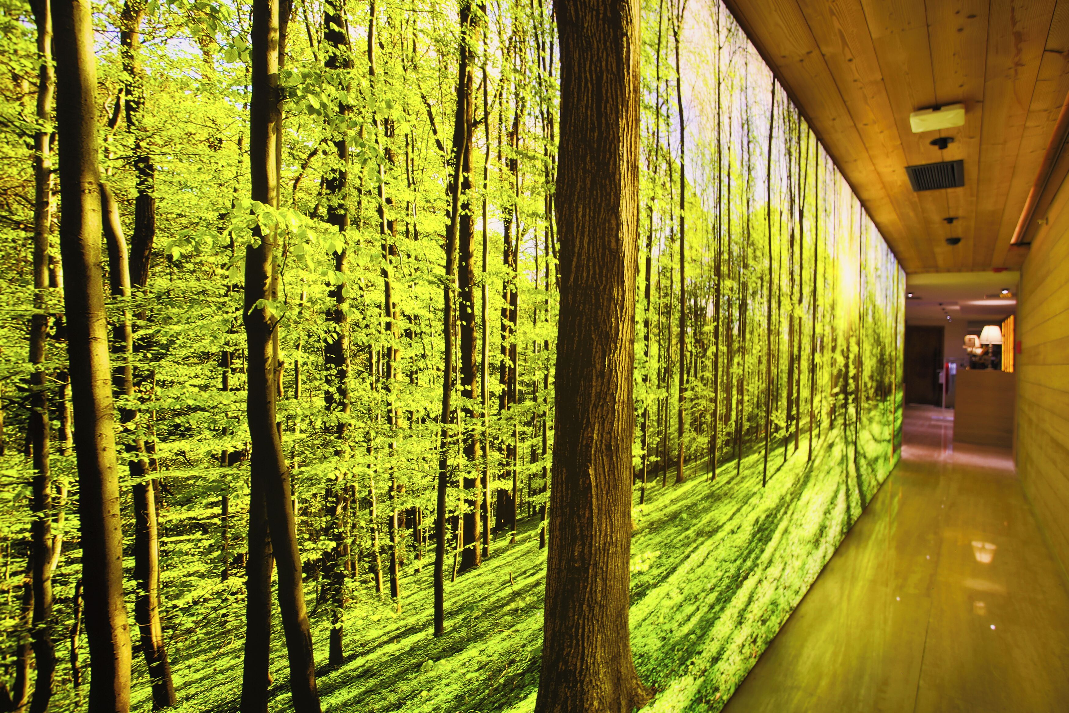 A hallway with a digital forest display on one wall.
