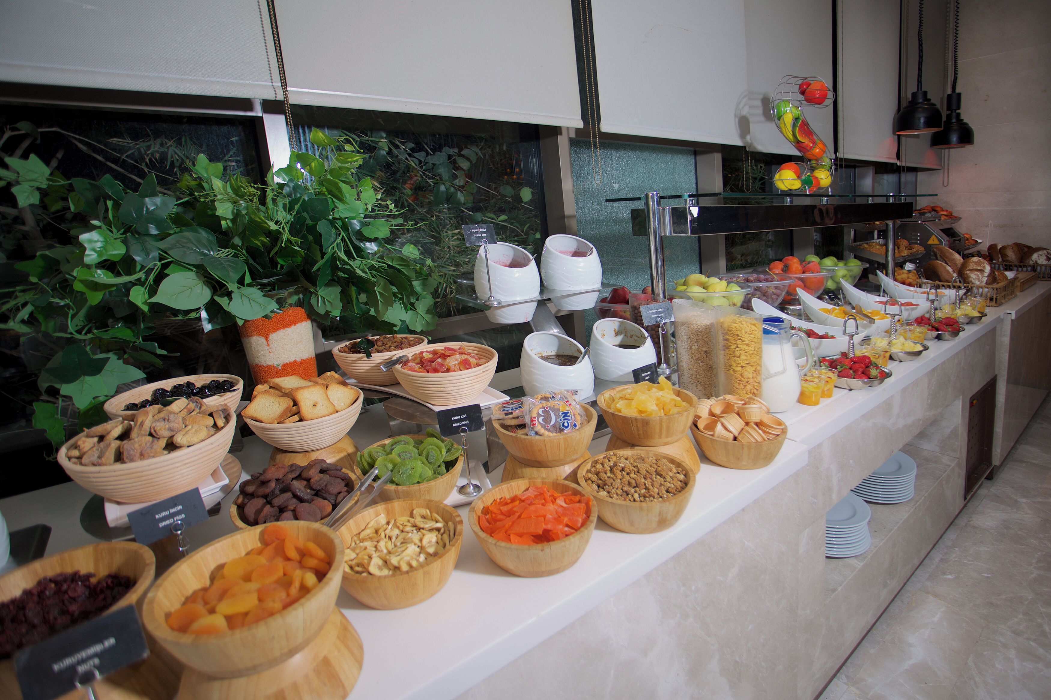 Ein Buffet mit verschiedenen Speisen und einer Topfpflanze im Hintergrund.