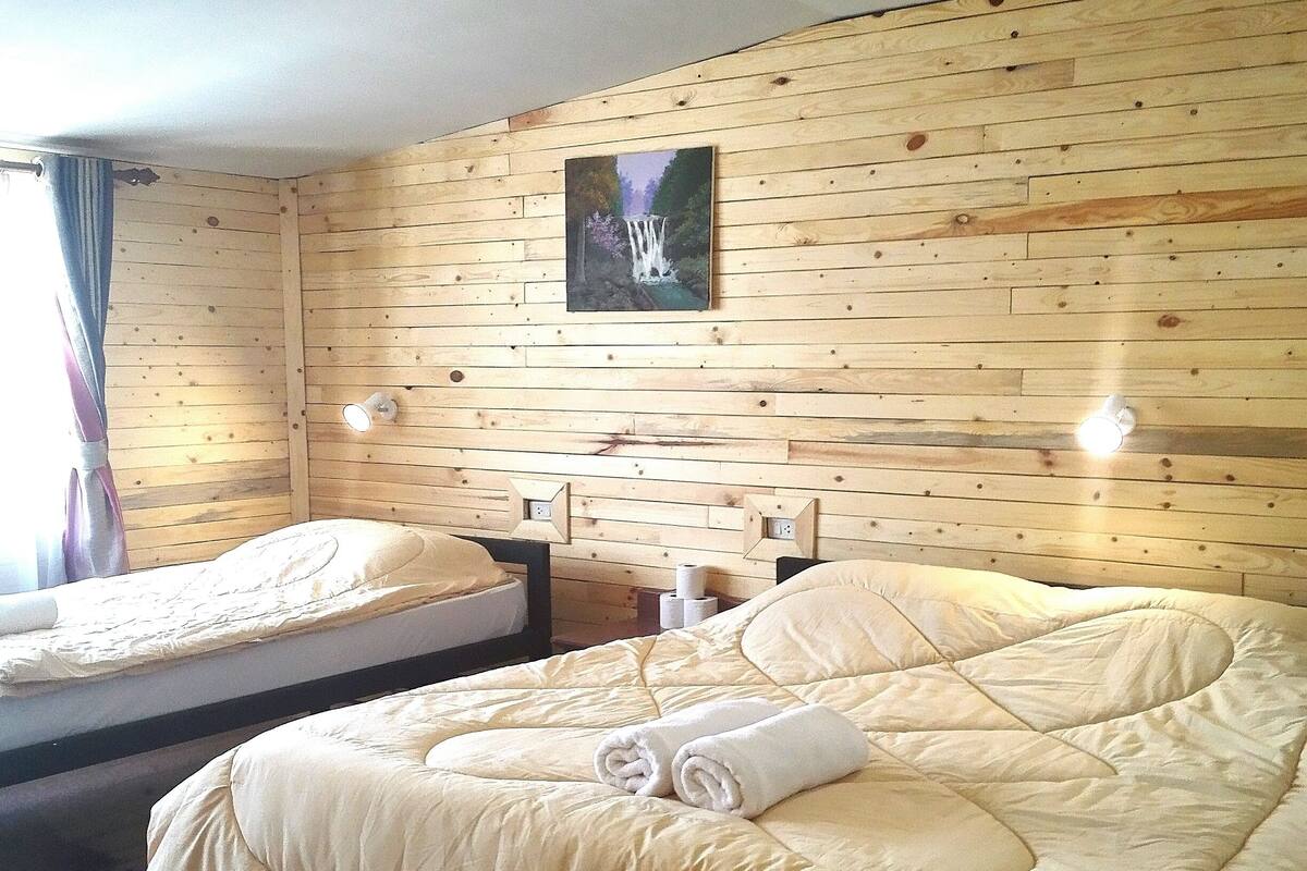 Een kamer met twee bedden, houten wanden, een schilderij en een plafondlamp.