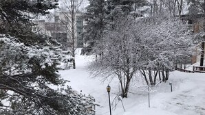 Twin Room | Courtyard view - Guesthouse Borealis (Rovaniemi)