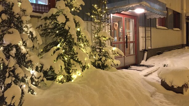 Front of property - Guesthouse Borealis (Rovaniemi)