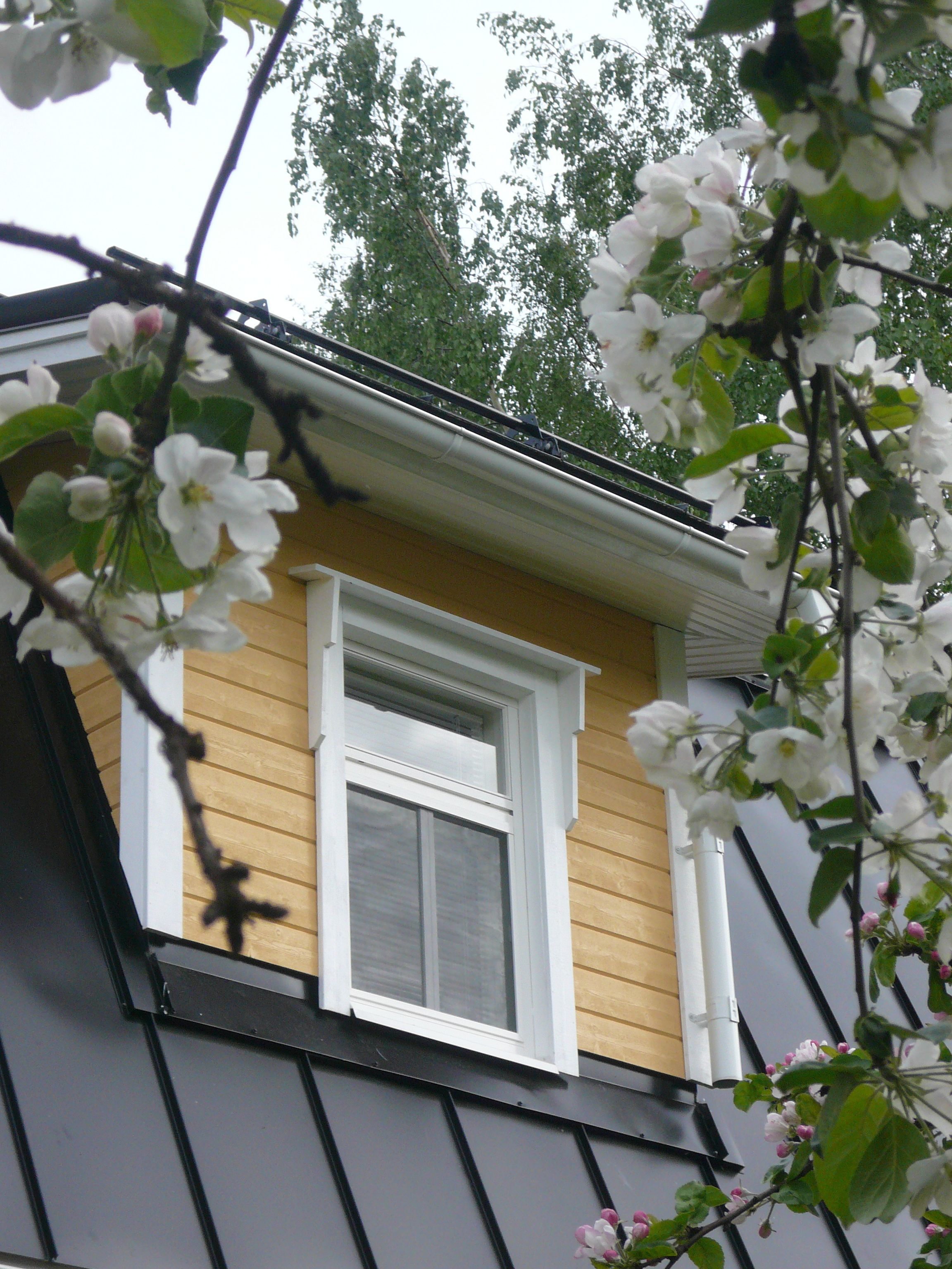 A house with a small attic window, a visible chimney, and a tree with white blossoms in the foreground.