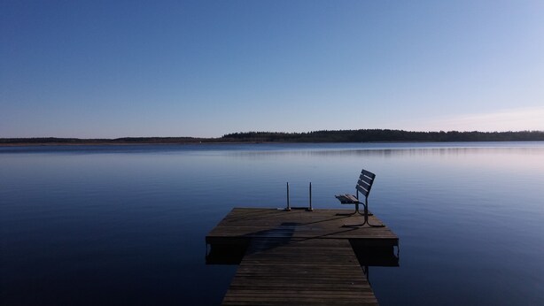 A wooden pier extending into calm water with a bench and a bird feeder at the end.