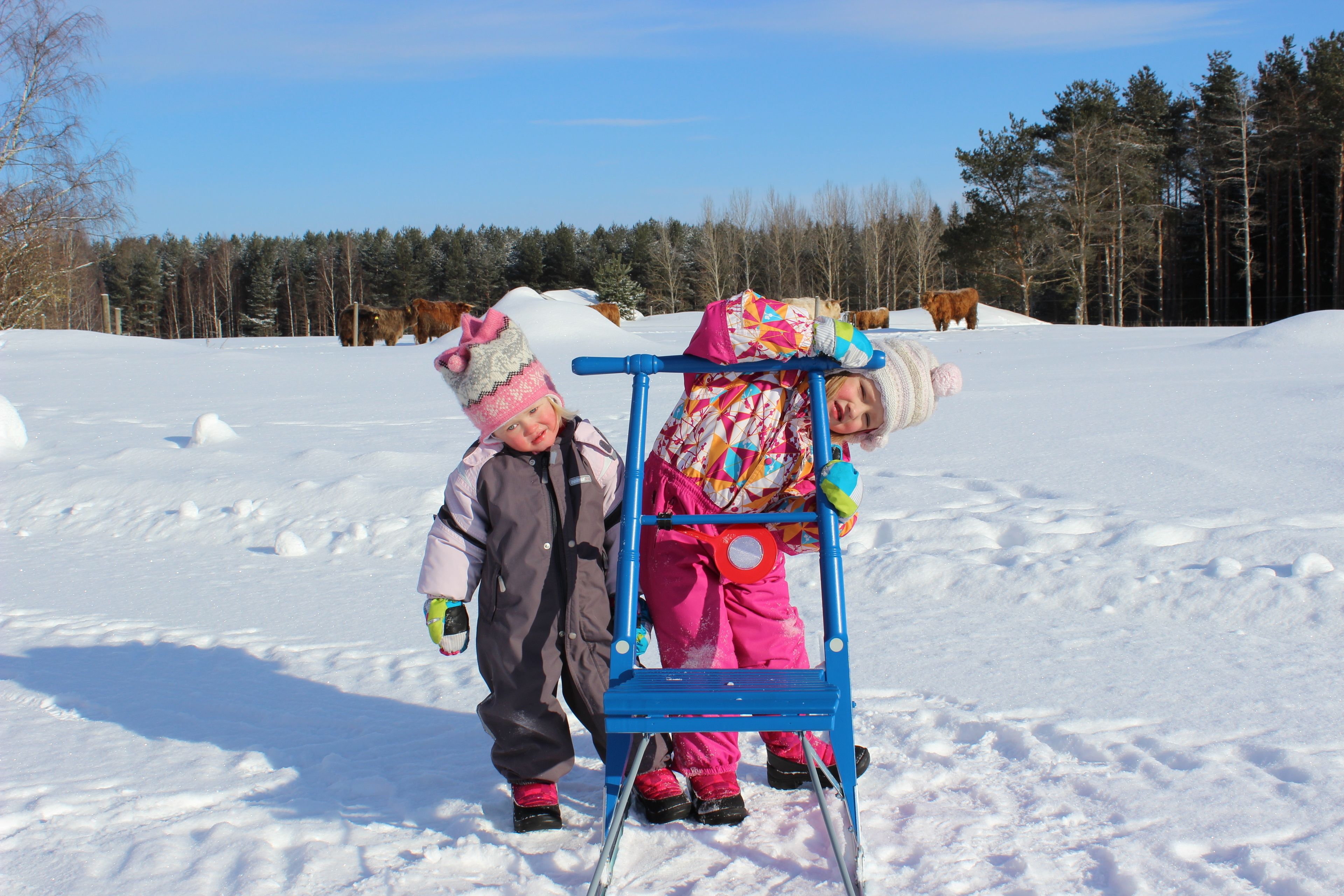 A snowy outdoor area with a blue sled and two children.