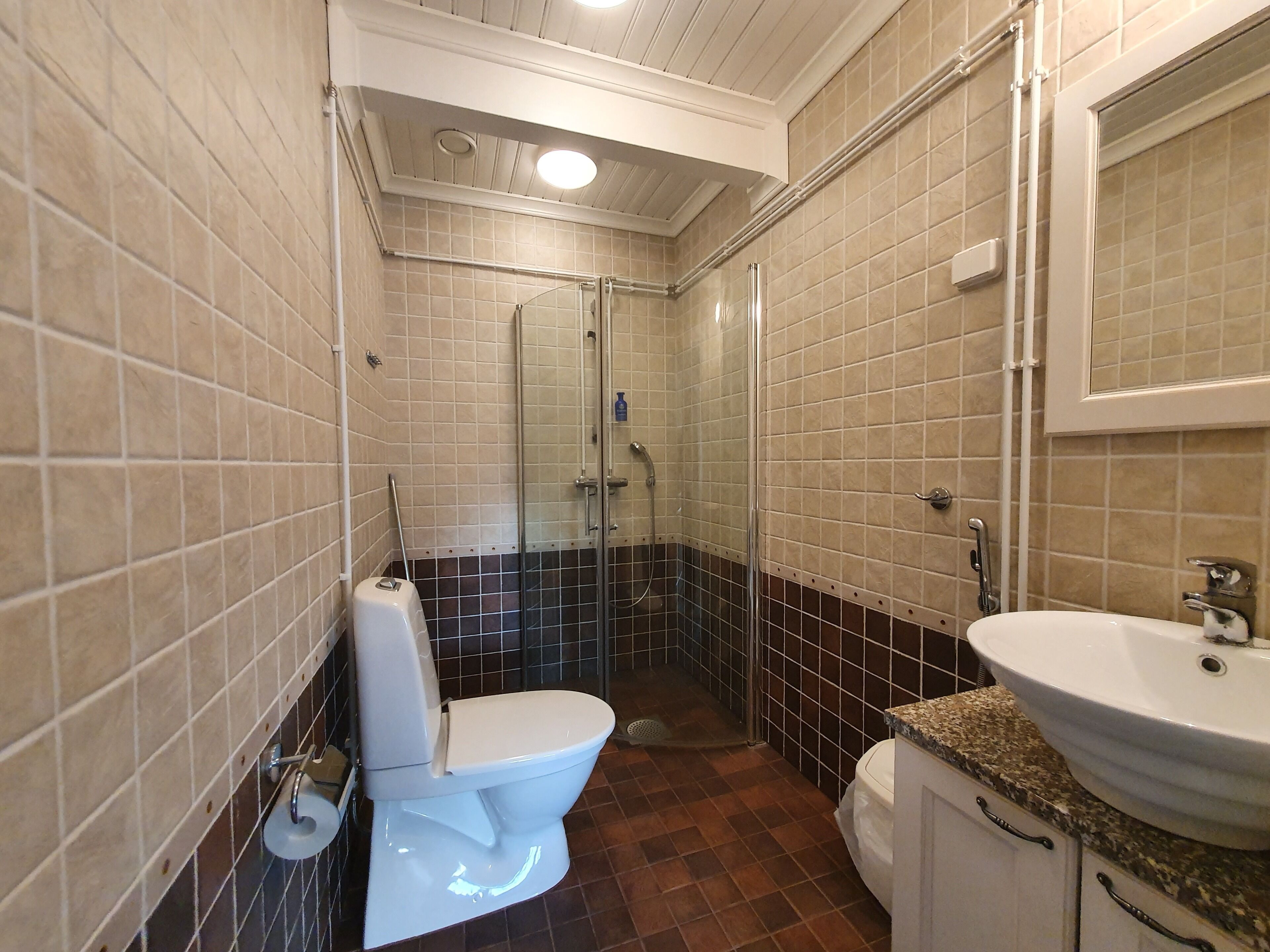 Een badkamer met toilet, wastafel en douche.