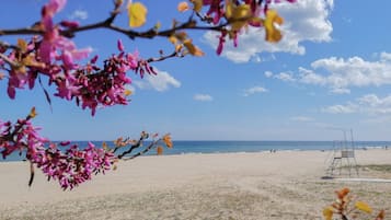 White sand, sun-loungers, beach umbrellas