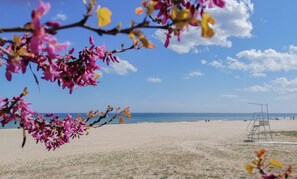 White sand, sun-loungers, beach umbrellas