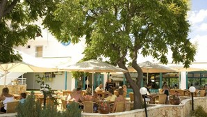 An outdoor dining area with tables and chairs, surrounded by trees and umbrellas. - Hotel Kaliopa (Albena)