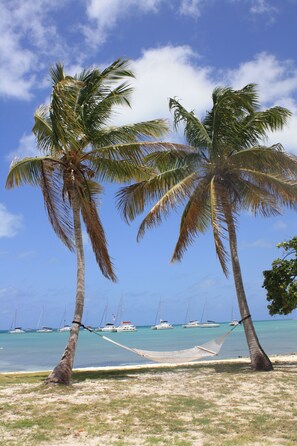 On the beach - Anegada Reef Hotel (Setting Point)