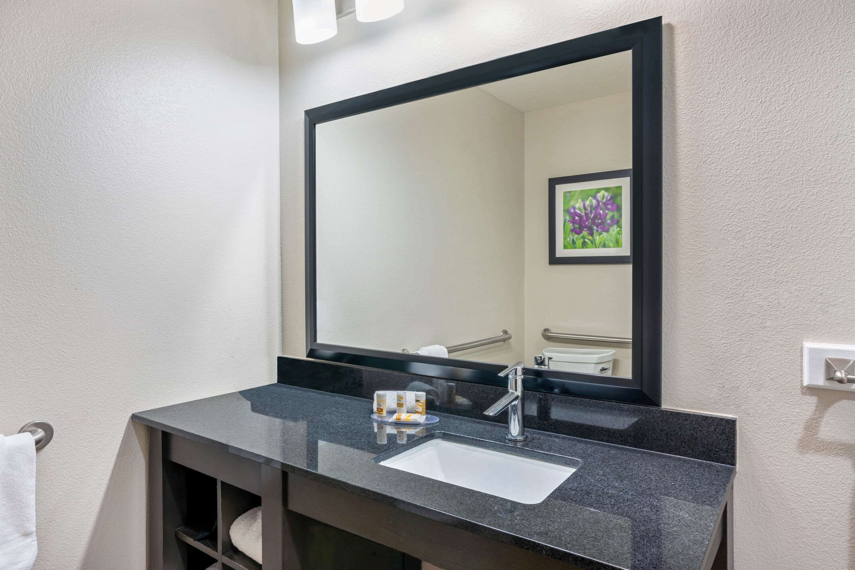 combined shower/bathtub, free toiletries, hair dryer, towels