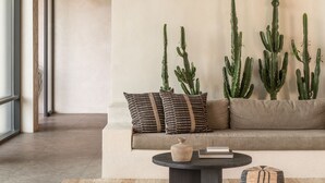 Ein modernes Wohnzimmer mit Holzboden, Deckenventilator, einer Couch mit Kissen, einem Couchtisch, einem kleinen Hocker und einer Kakteenanordnung.