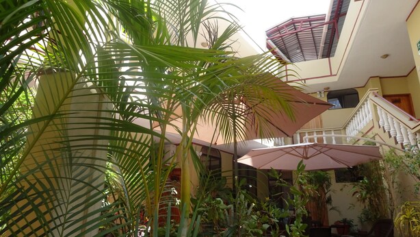 A multi-level atrium with a variety of plants, including palm trees and potted plants. There are outdoor seating areas with umbrellas and a staircase with a railing. - Hotel Red Booby (Puerto Ayora)