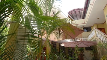 Vista al jardín