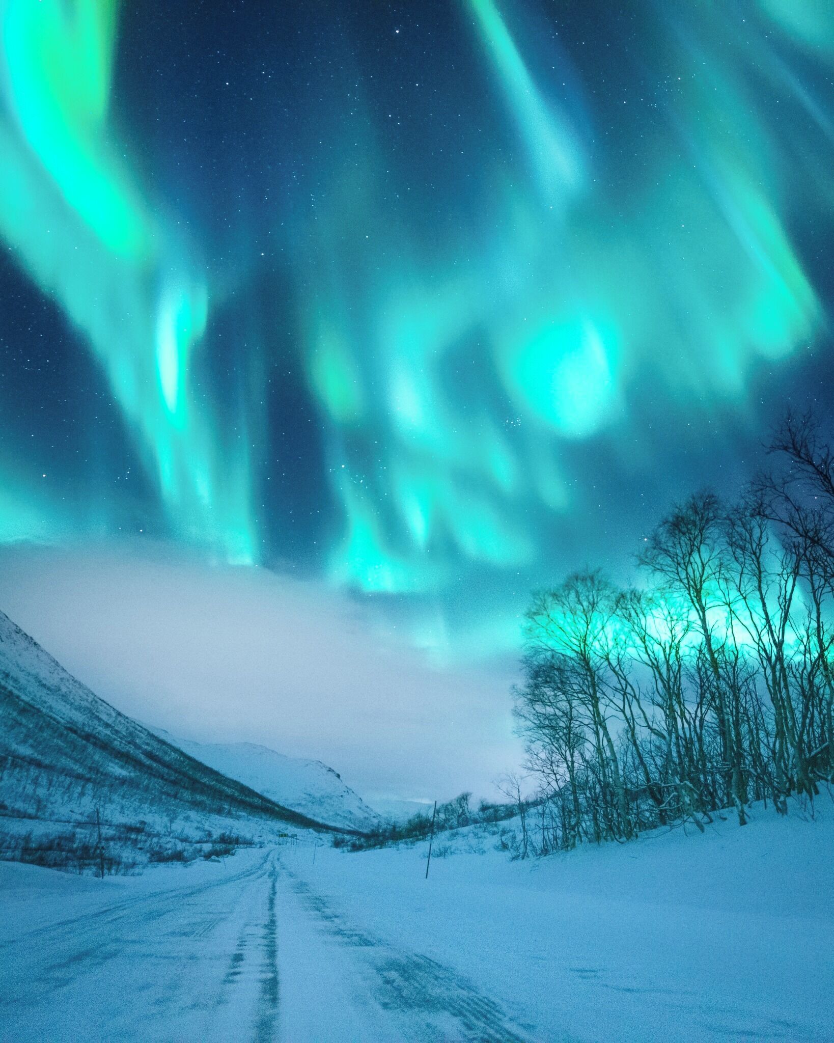 A snowy landscape with a road leading towards a forested area under a night sky with aurora borealis.