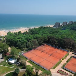 Sportveld