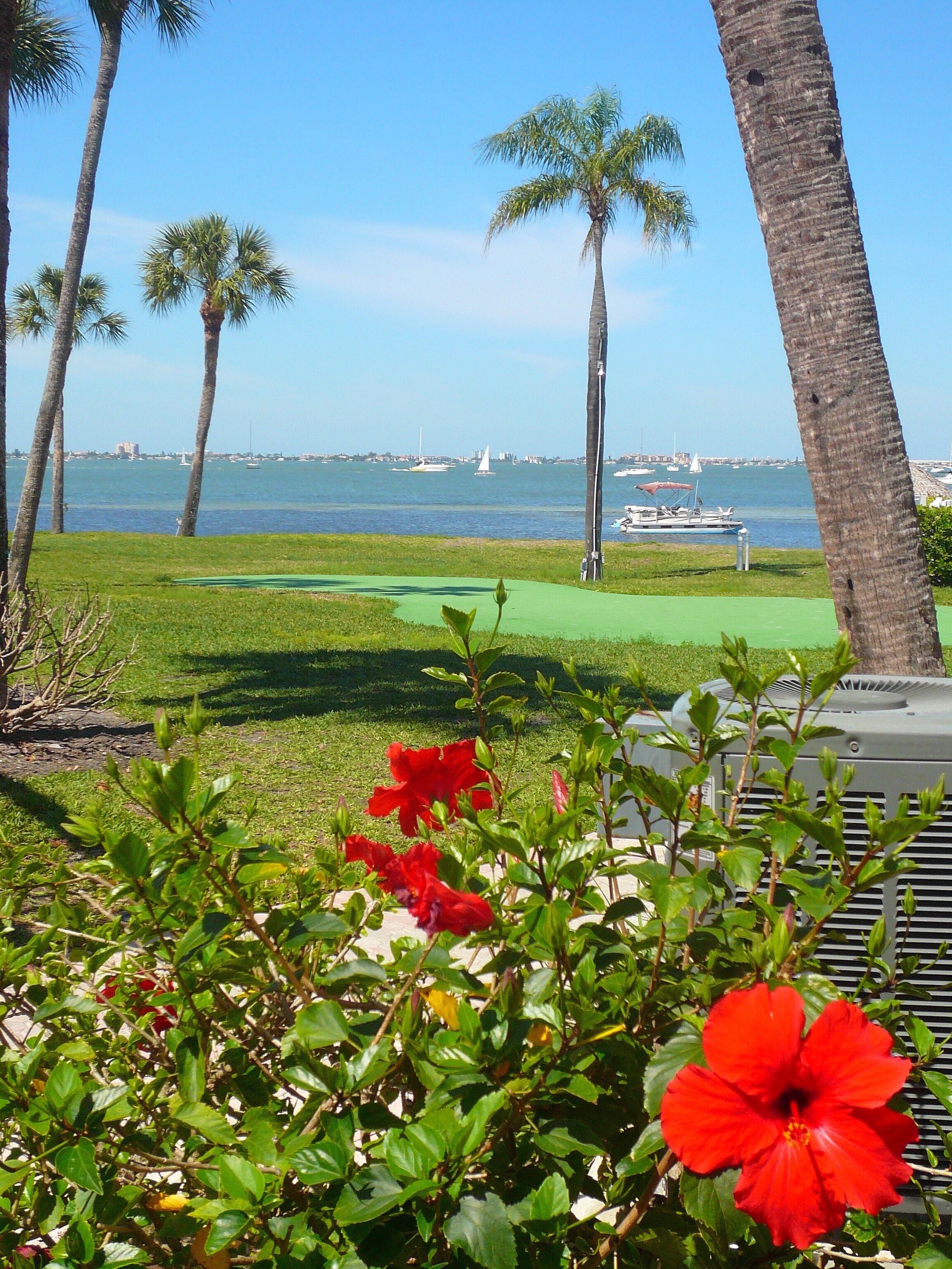 Bloc d'apartaments Deluxe, 2 dormitoris, no fumadors | Vista del jardí