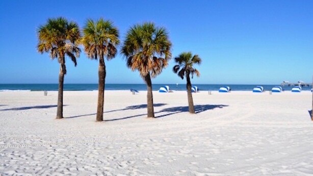 Unclassified image, 1 of 104, button - Bermuda Bay by Affordable Beach Condos (St. Petersburg)