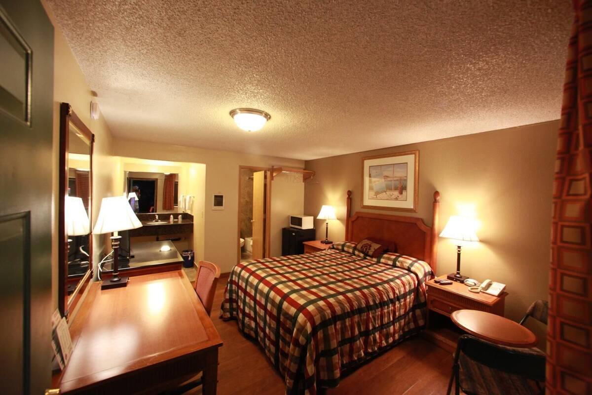 Habitación de hotel con cama, mesitas de noche, escritorio, silla, espejo, un cuadro en la pared y una lámpara en el techo.