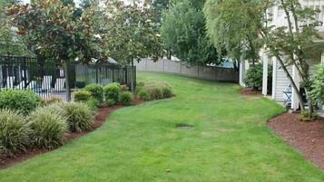 Khuôn viên nơi lưu trú