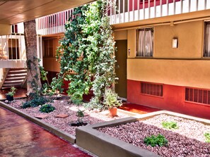 Garden - Travelodge by Wyndham Phoenix Downtown (Phoenix)