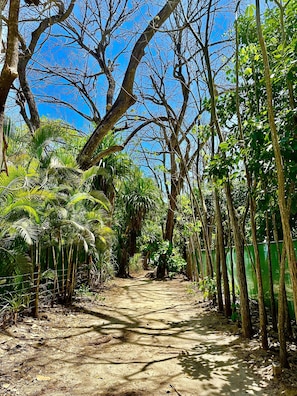 Ngoại thất