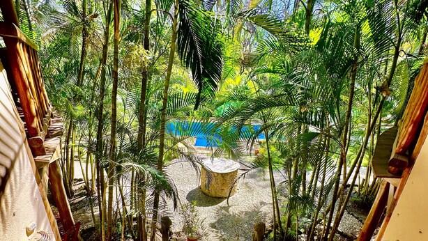 Un escalier en bois mène à une piscine entourée d’une végétation luxuriante.
