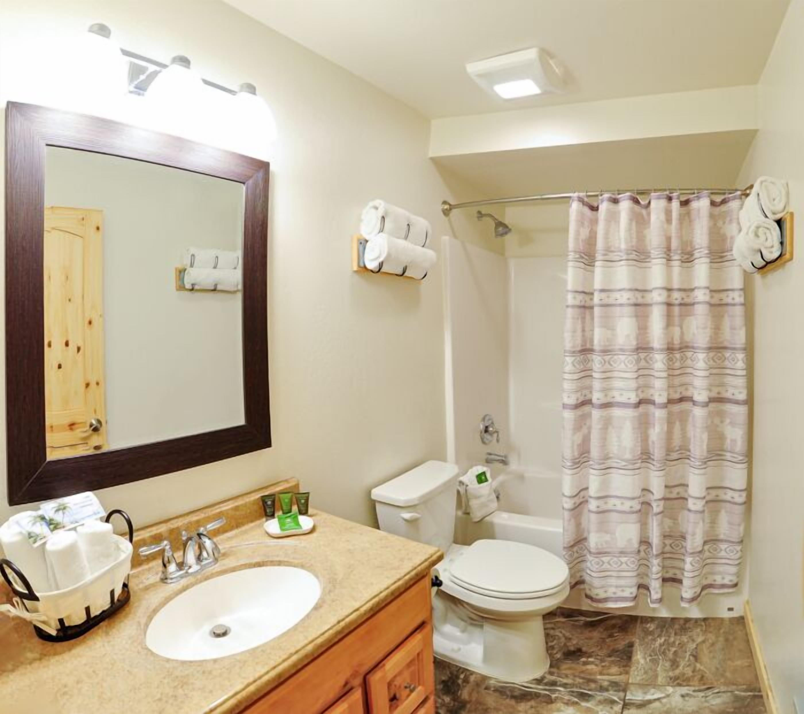 A bathroom with a sink, mirror, toilet, and shower curtain.