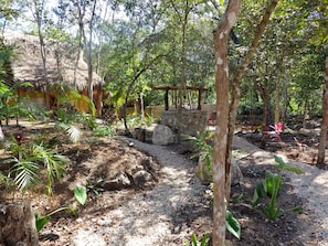 Exterior - Casa Mango (Macario Gomez)