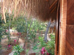 Triple Room | Property grounds - Casa Mango (Macario Gomez)