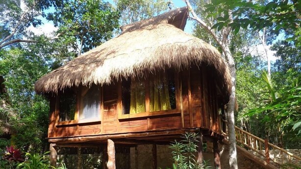 A wooden structure with a thatched roof, elevated on stilts, surrounded by lush greenery.