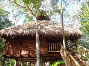 Exterior - Casa Mango (Macario Gomez)
