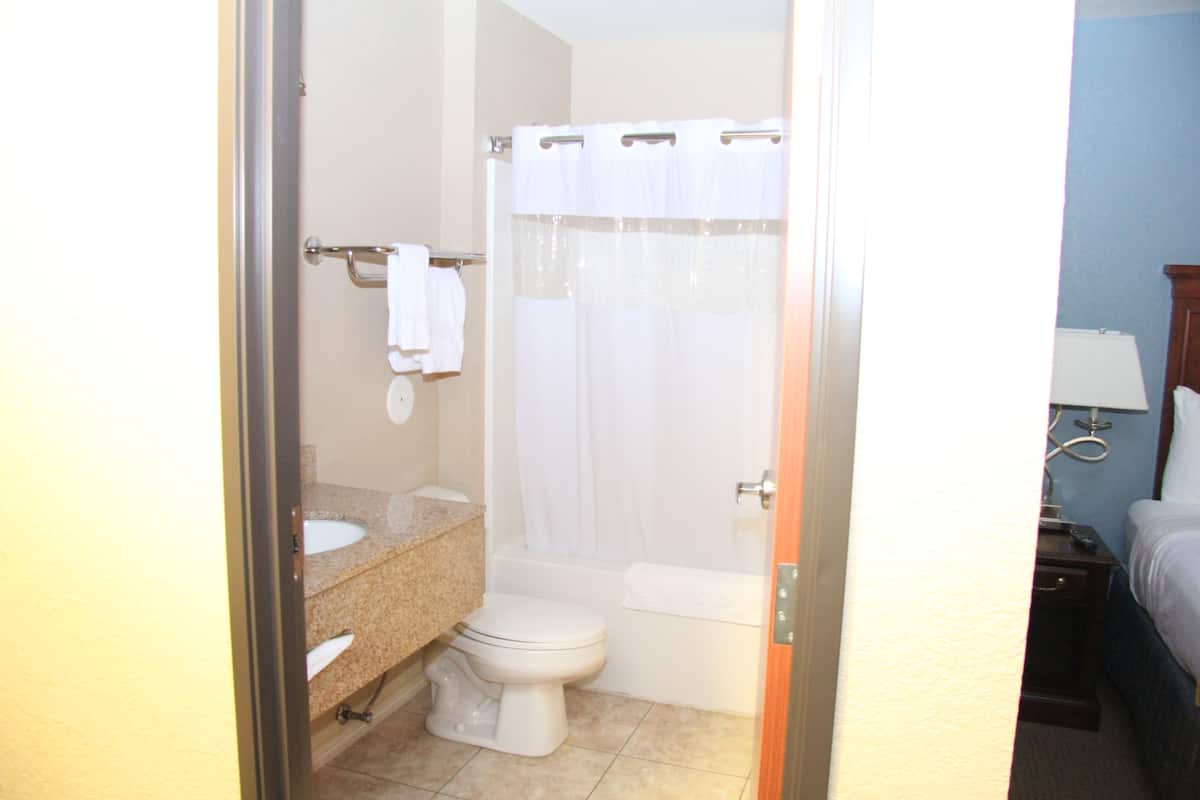 free toiletries, hair dryer, towels