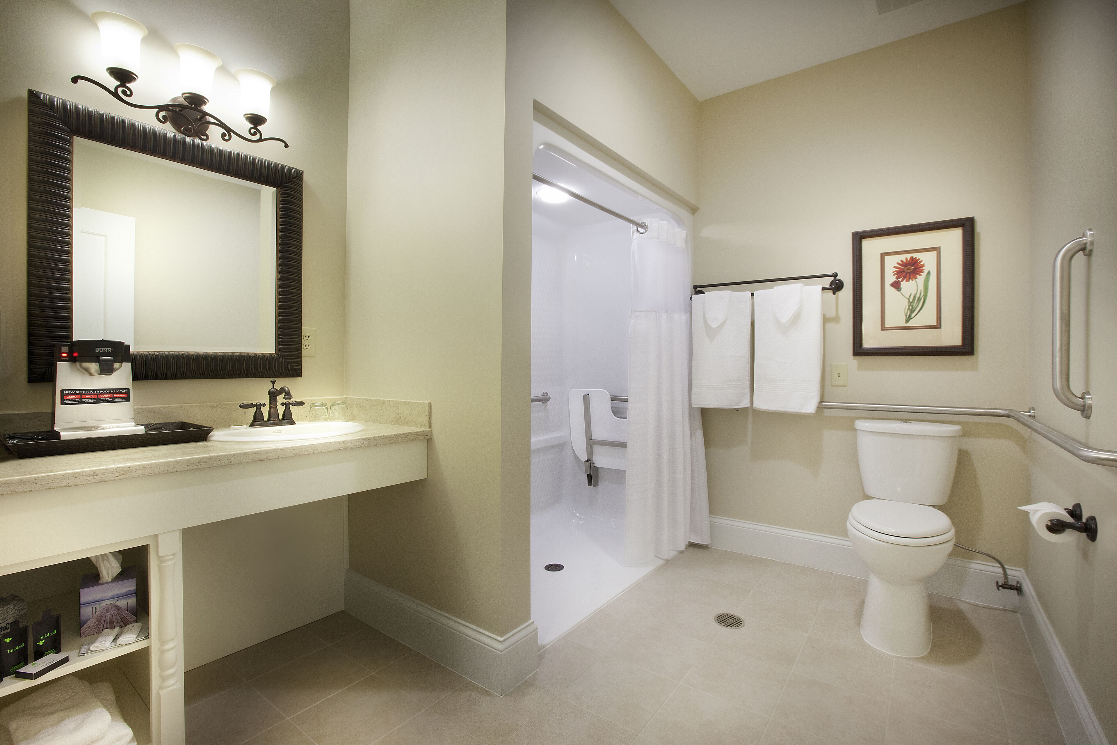 A bathroom with a white sink, mirror, and toilet. There is a shower curtain, a framed picture on the wall, and a handrail next to the toilet.