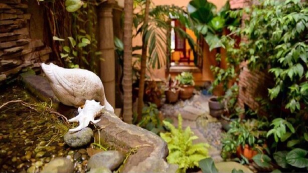Garden - Cam Ly Boutique Apartment & Hotel (Ho Chi Minh City)