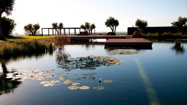 A tranquil pond with lily pads and a wooden deck. - Eco Suites Resort (Santiago do Cacém)