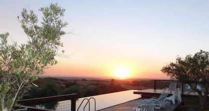 Eco Suites Resort