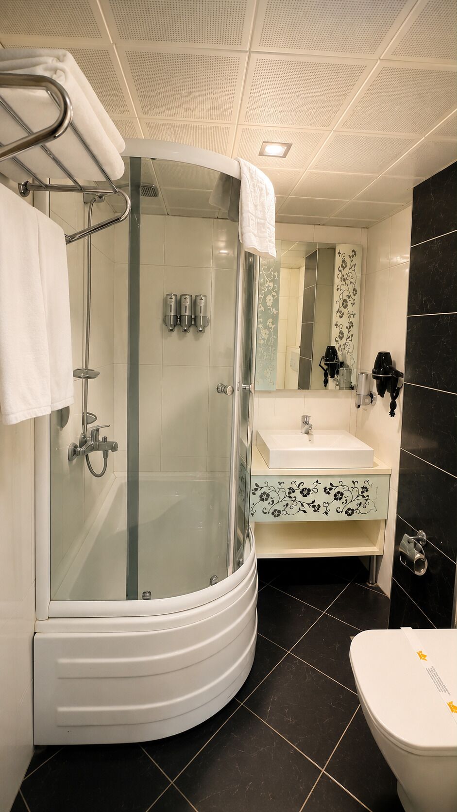 Une salle de bain avec une douche à parois de verre, un lavabo blanc et des toilettes.