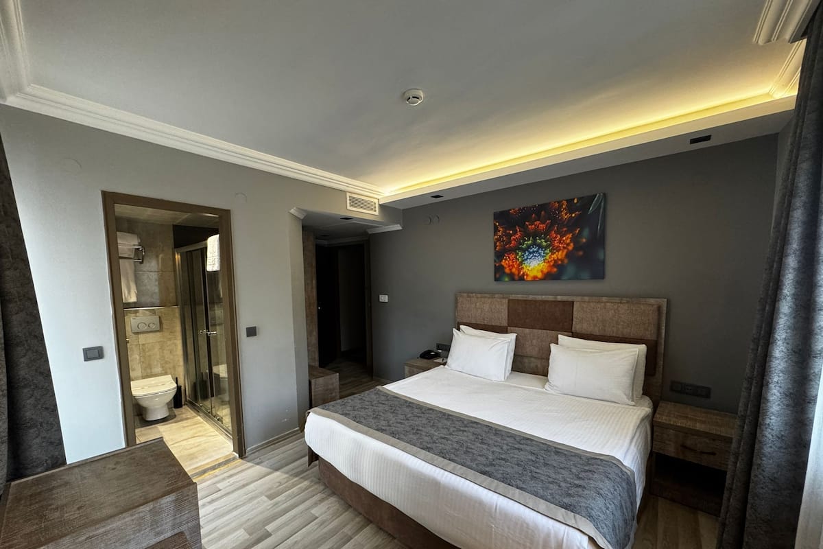 Minibar, caja de seguridad en la habitación, wifi gratis y ropa de cama