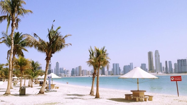 A beach with palm trees, a white umbrella, and a 'No Swimming' sign. - Zain International Hotel (Dubai)