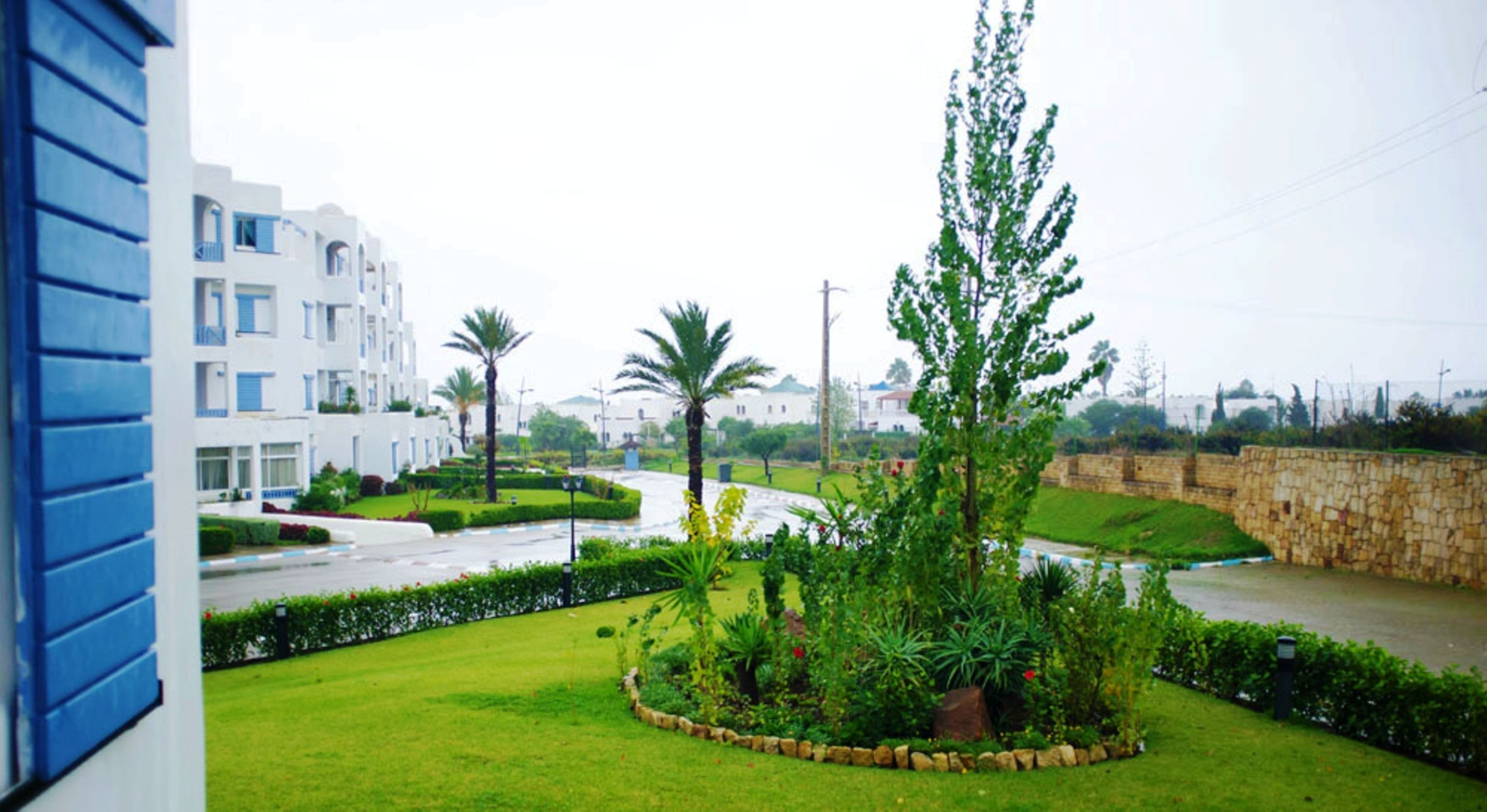 Un quartier résidentiel avec des immeubles modernes aux façades blanches, un jardin bien entretenu avec différentes espèces de plantes et un mur en pierre.