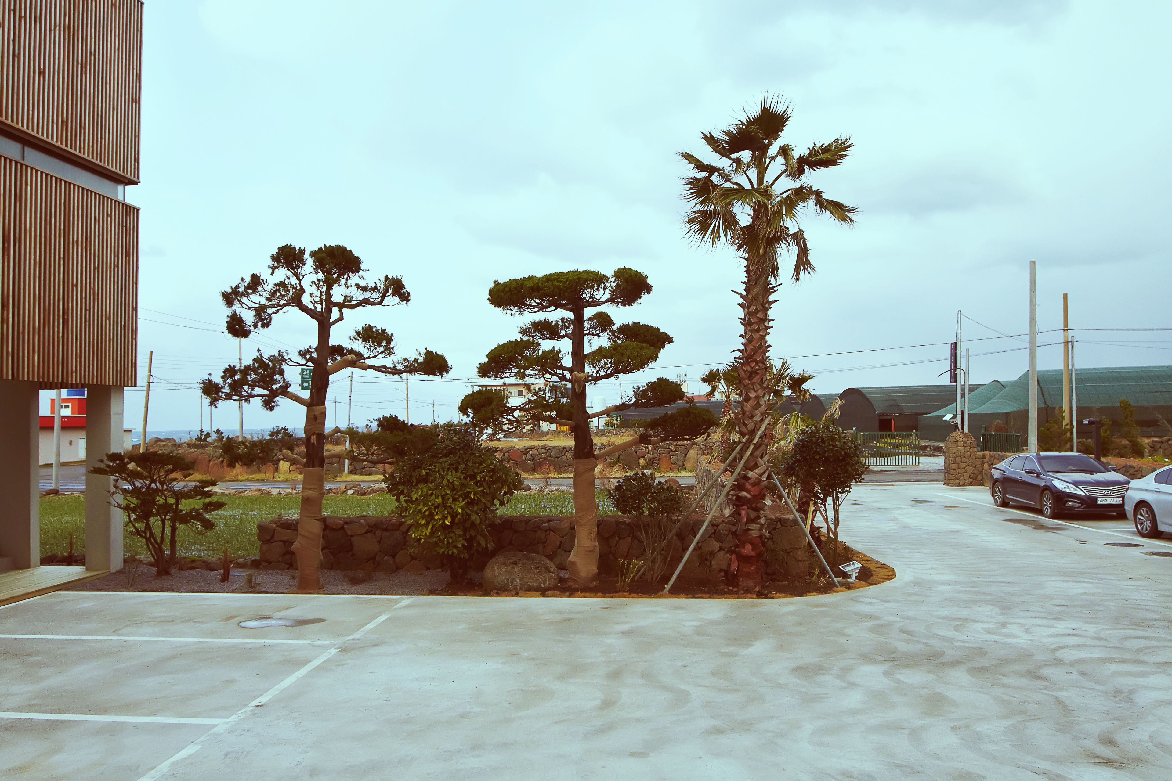 Un área de estacionamiento con un edificio a la izquierda, árboles y un muro de piedra.