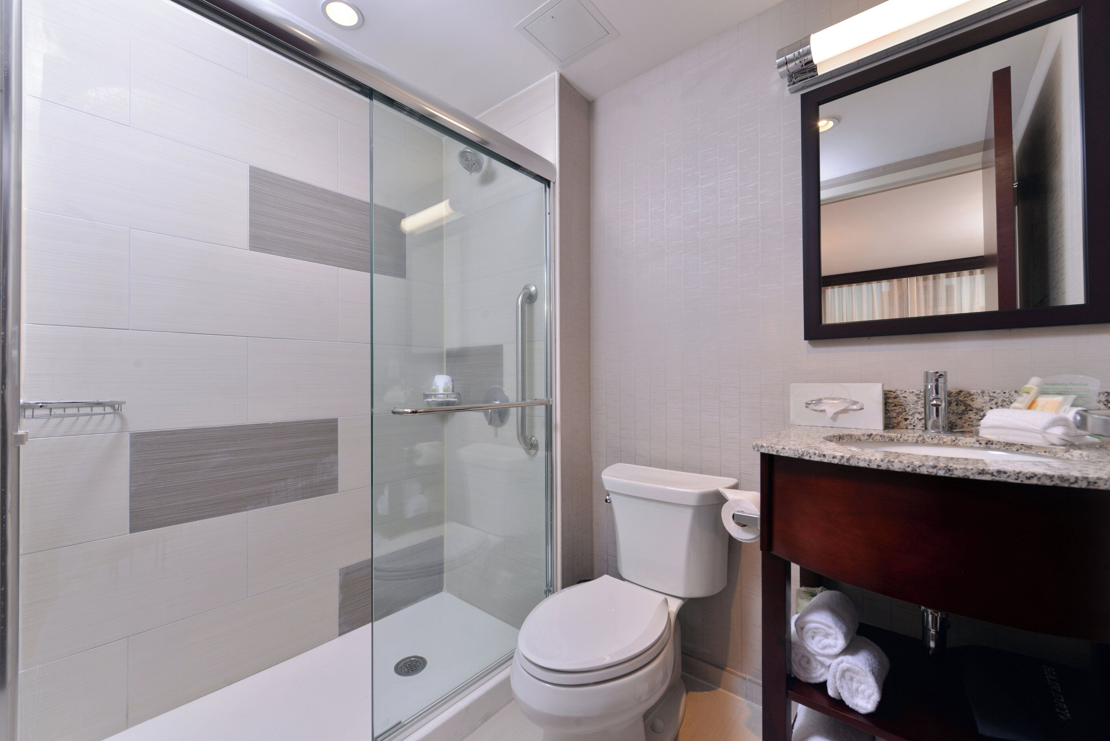 A modern bathroom with a glass-enclosed shower, a toilet, and a vanity with a mirror.