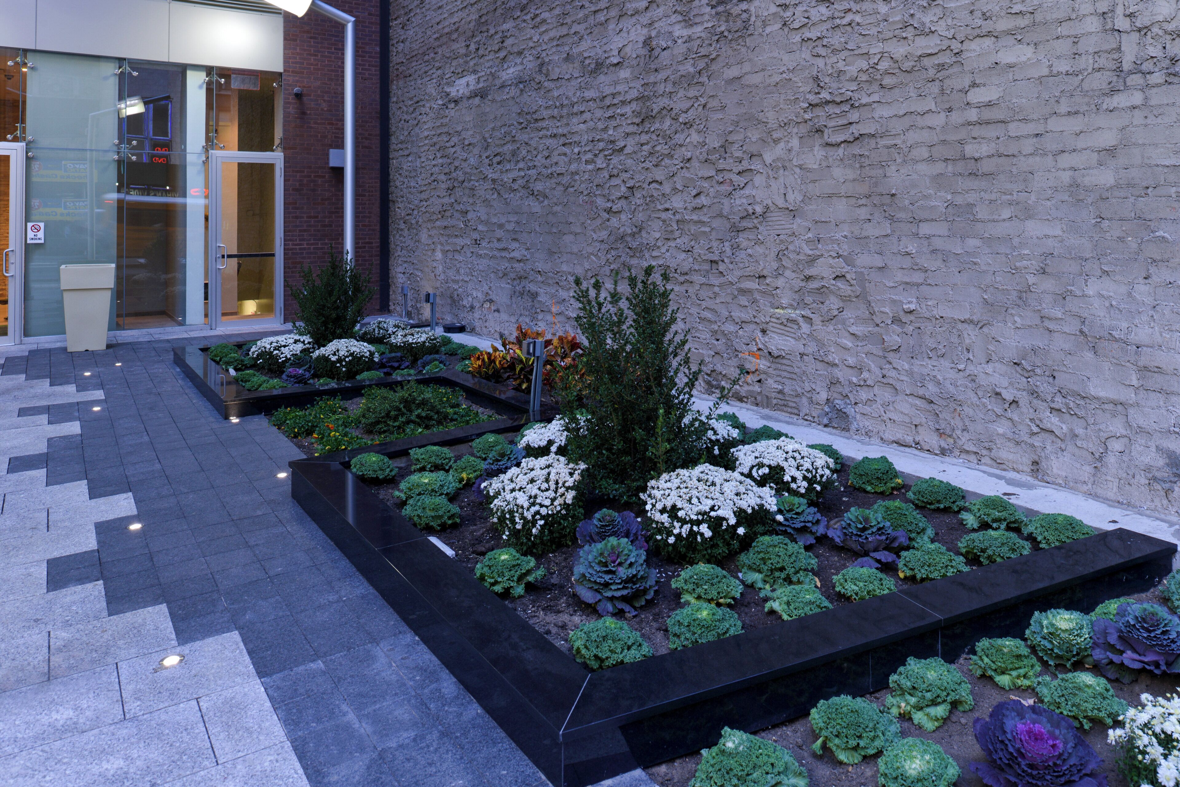 A landscaped garden with various plants and a paved walkway leading to a building entrance.