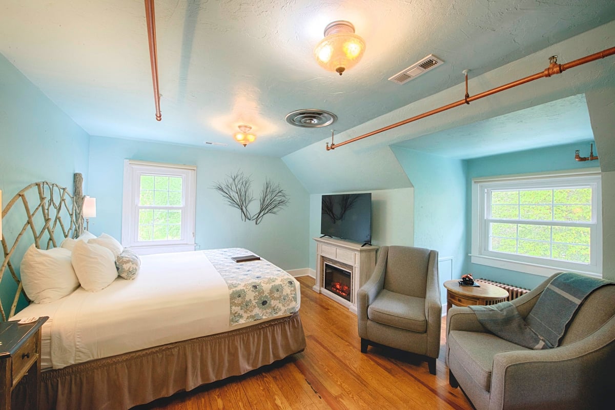 A bedroom with a bed, a television, a fireplace, and two windows.