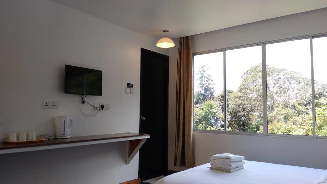 Habitación de hotel con cama, televisor montado en la pared, cafetera y ventana con vista a árboles.