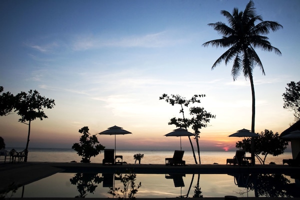 Outdoor pool, sun loungers